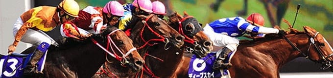使ってはいけない競馬予想会社