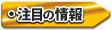 注目の情報