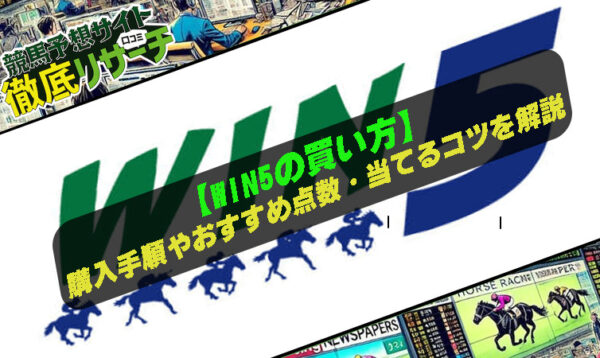 WIN5 買い方