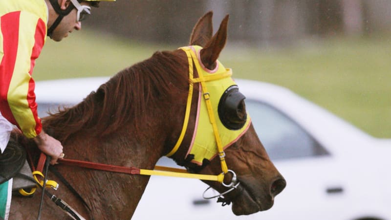 競馬でブリンカーを付ける意味は 得られるたった1つの効果をご紹介