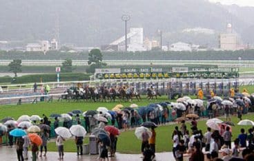 競馬 雨 予想