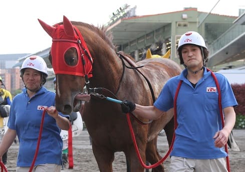 厩務員 競走馬