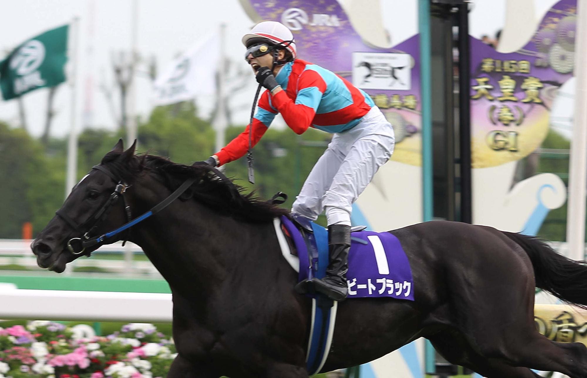 2012年天皇賞・春 ビートブラック