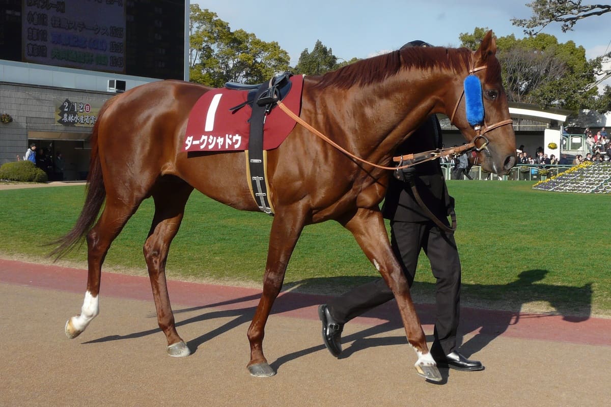 チークピーシーズは集中力を高める効果がある馬具 装着する5頭の競走馬を紹介