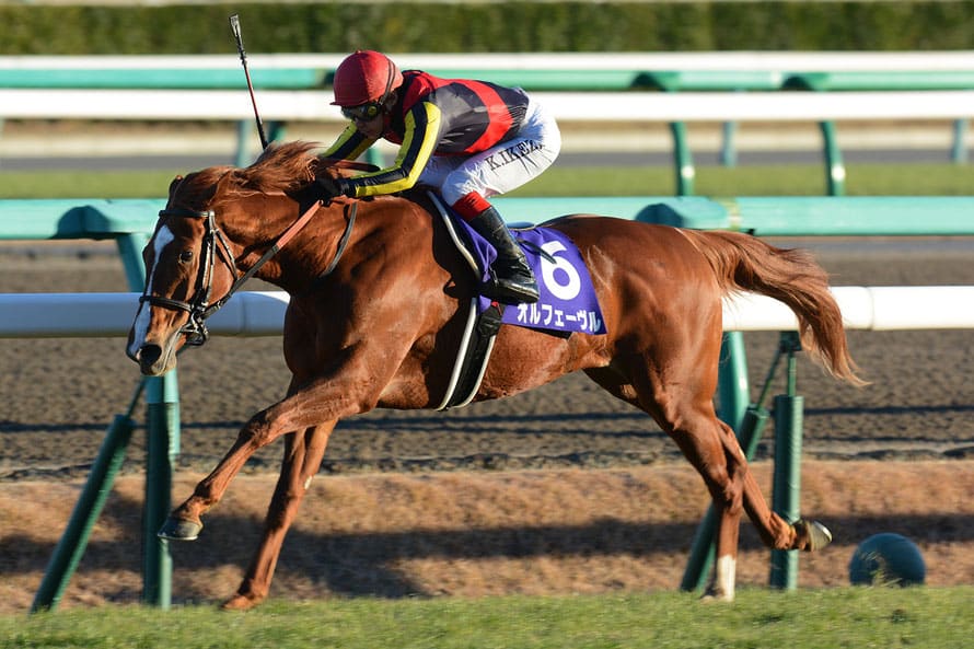 競馬 オルフェーブル