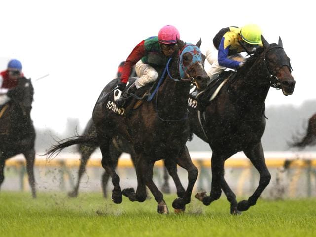 競馬における追い込みの3つの特徴を覚え競馬予想の的中率アップを目指そう