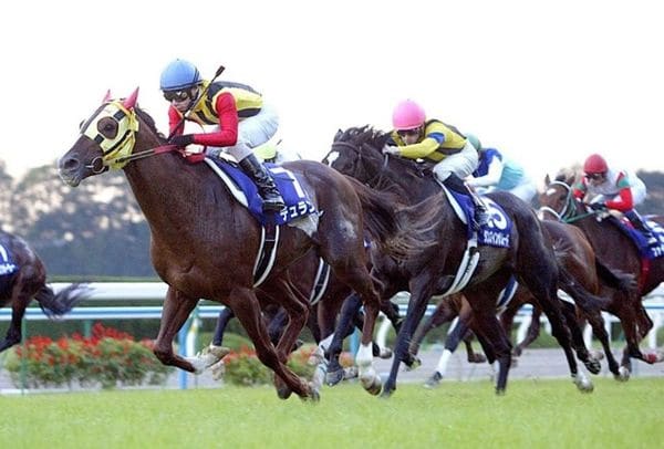 競馬 追い込み馬