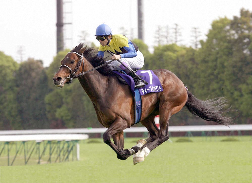 競馬 ディープインパクト 武豊