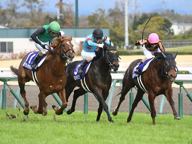 現在の日本競馬で活躍する血統と主な系統10種類を解説