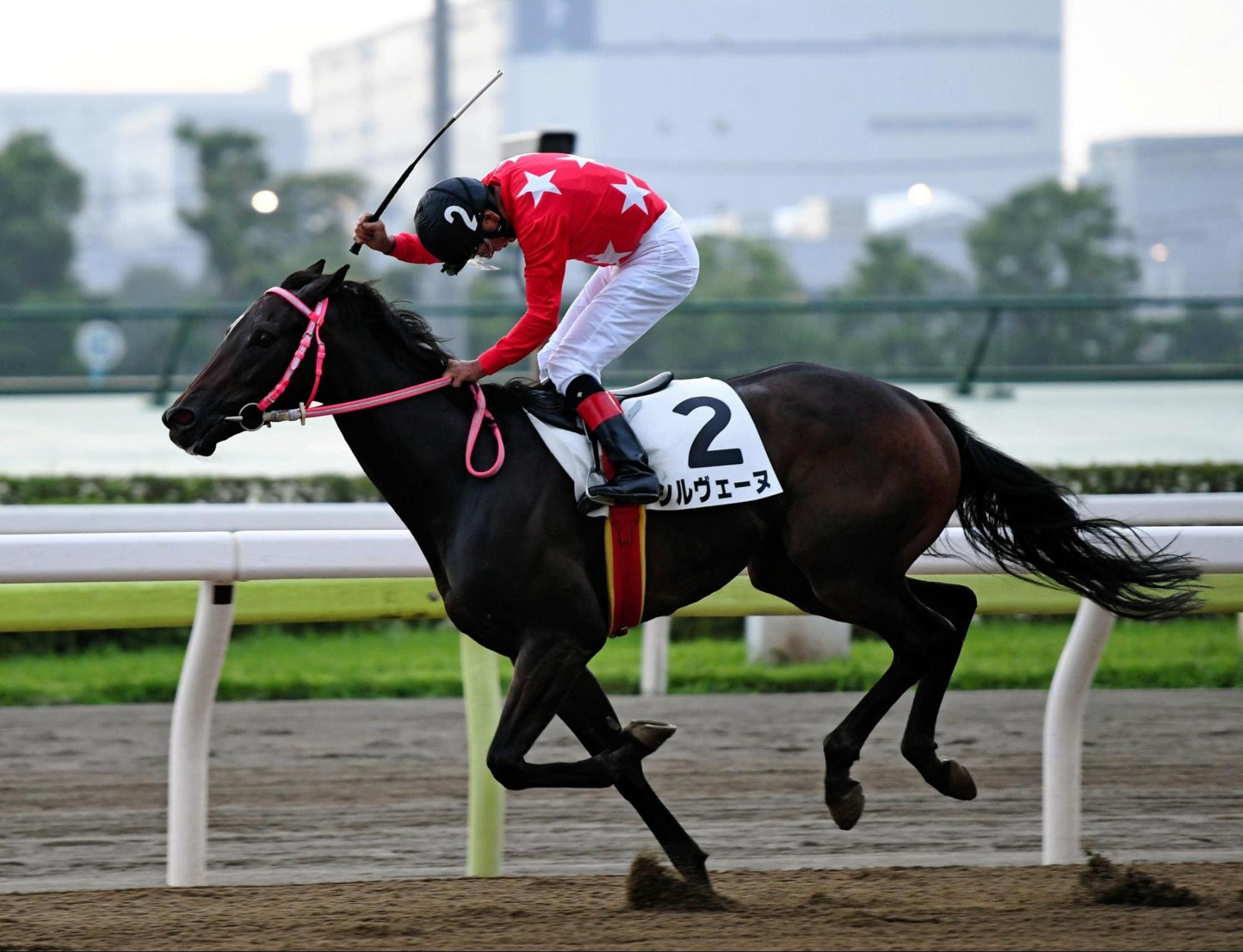競馬 ダート シルヴェーヌ