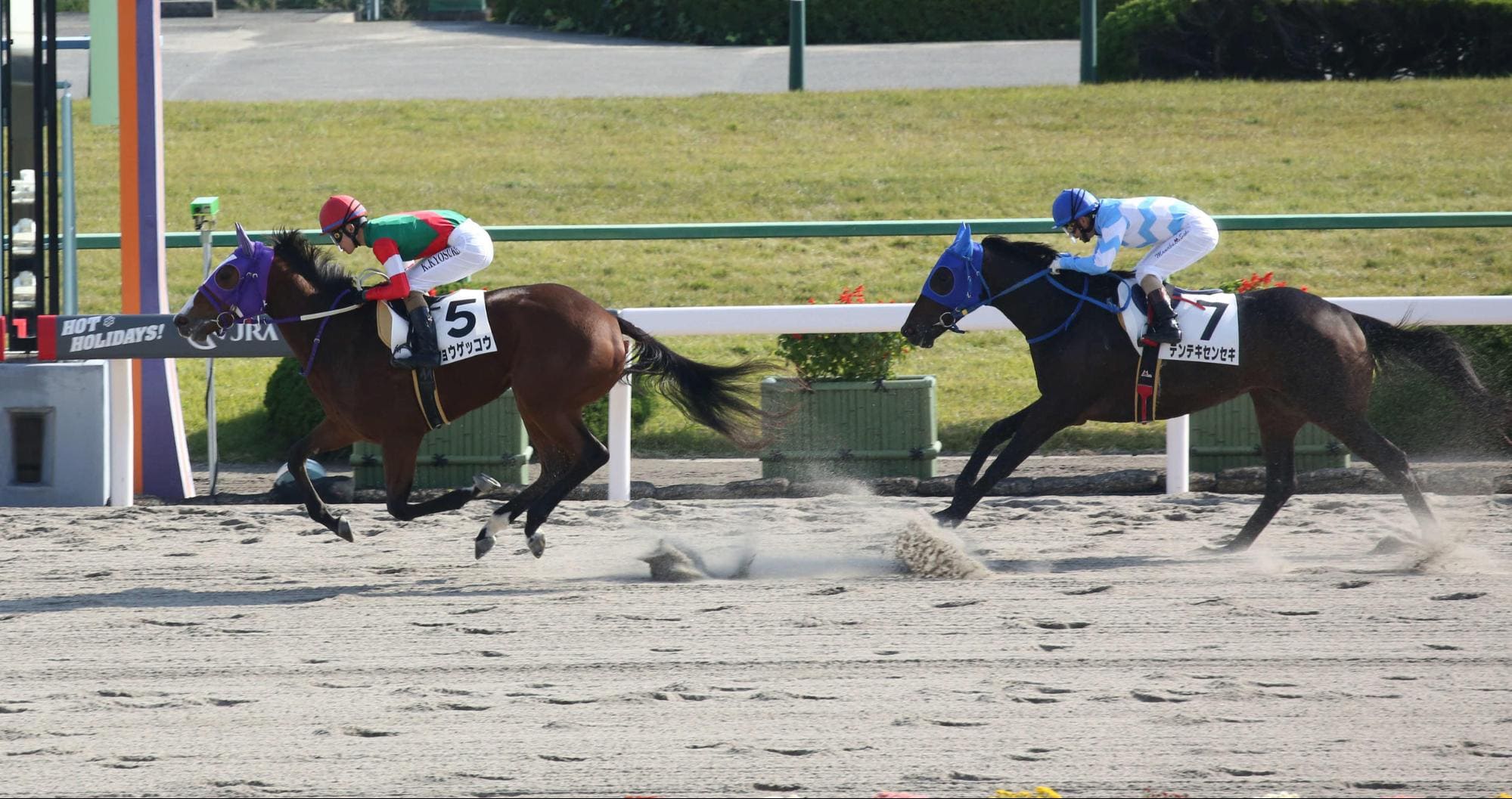 競馬 ダート