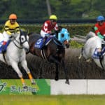 競馬 障害レース 荒れる