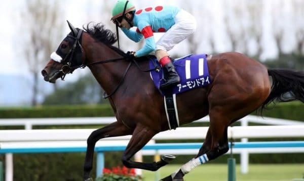 競馬 1番人気 勝率