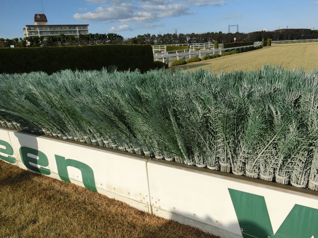競馬 障害レース グリーンウォール