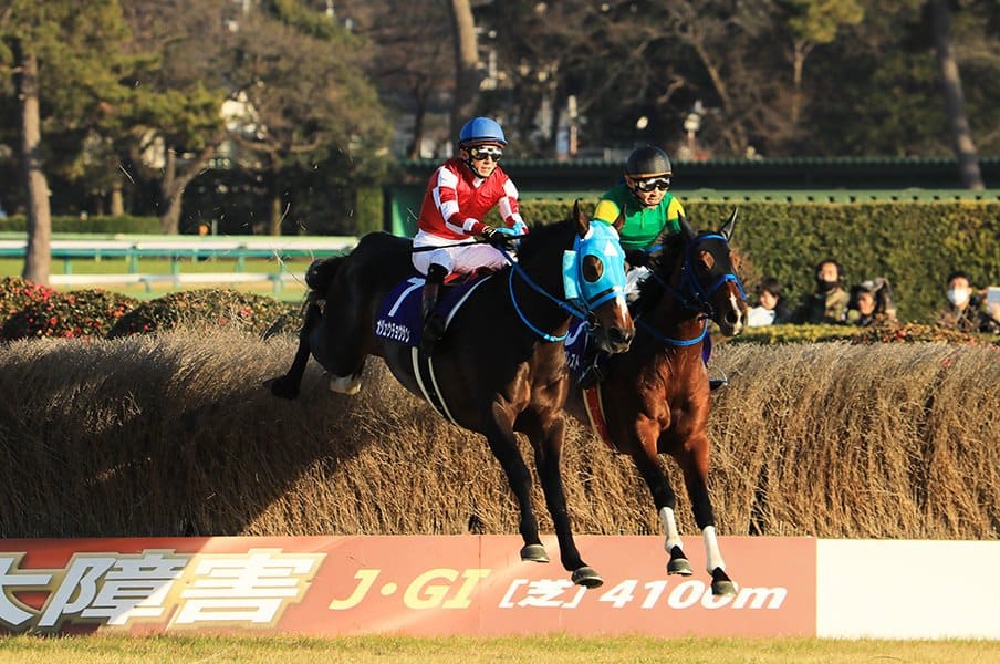 競馬 障害レース 竹柵