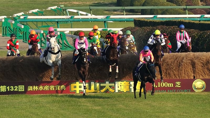 競馬 障害レース