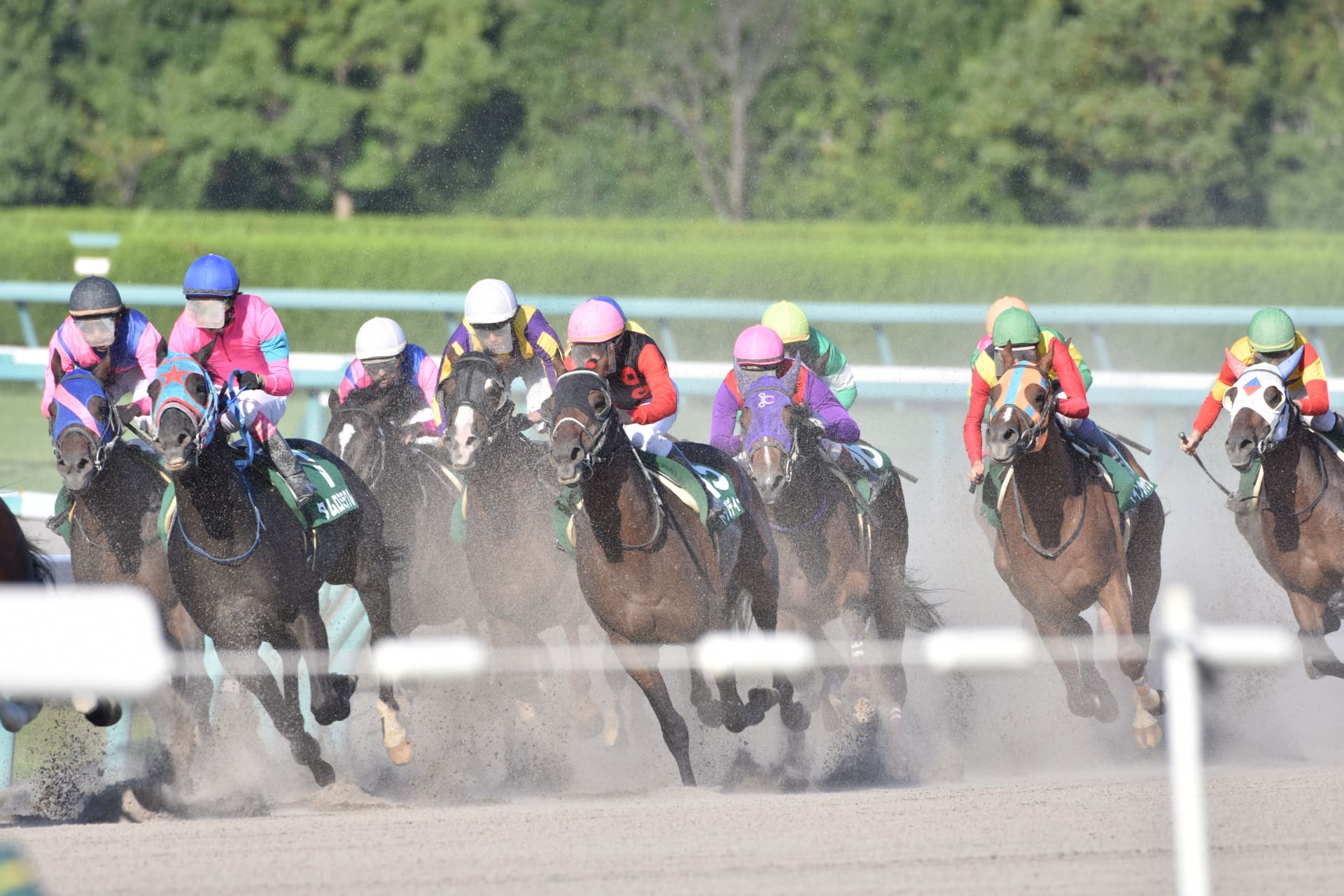 競馬で稼ぐための合成オッズ 合成オッズを計算して効率よく稼ぐ方法