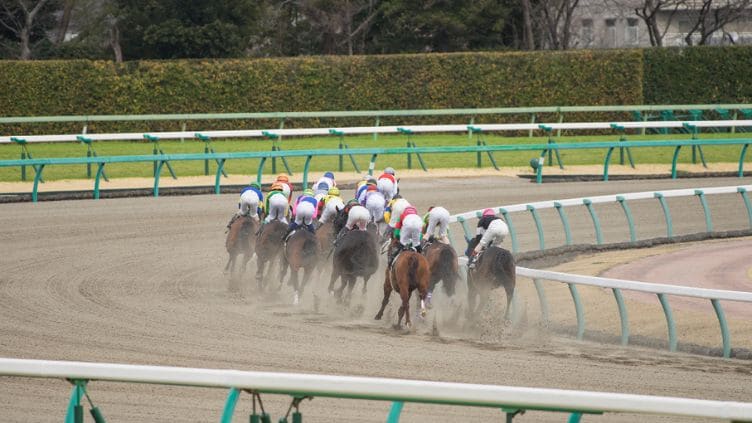 函館競馬場で開催される主なレース