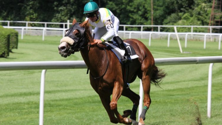 スマホで競馬中継を無料で観る6つの方法
