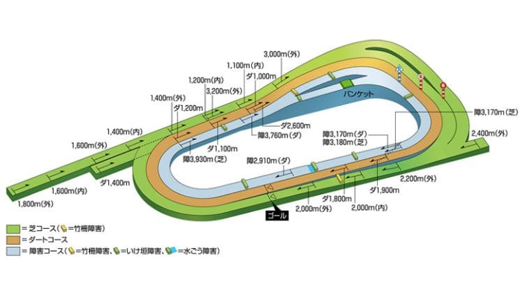 京都競馬場芝コースの距離別の特徴