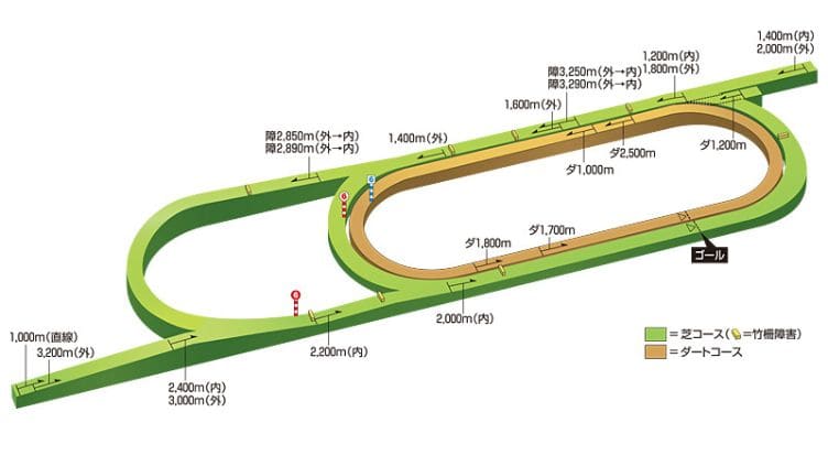 新潟競馬場芝コースの距離別の特徴