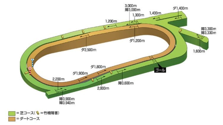 中京競馬場芝コースの距離別の特徴