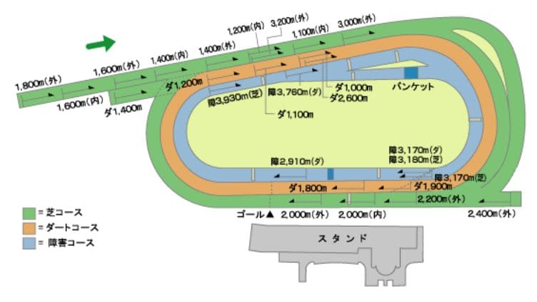 京都競馬場ダートコースの距離別の特徴