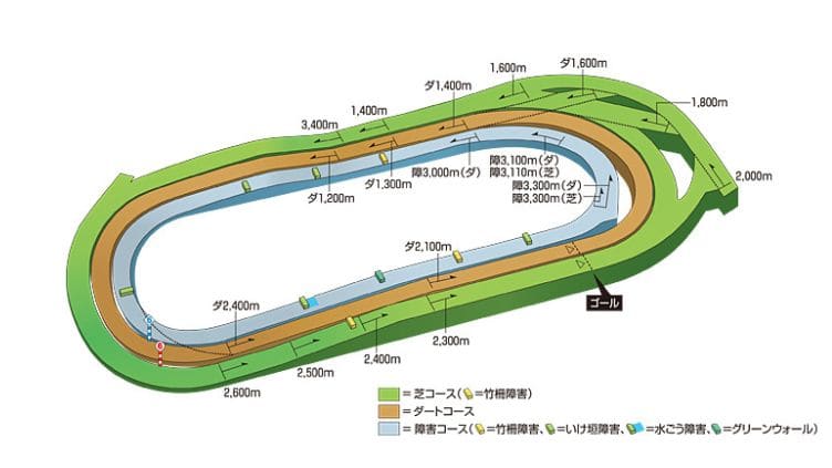 東京競馬場芝コースの距離別の特徴