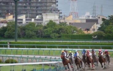 阪神競馬場距離別の特徴を紹介！予想に役立つ好走データも一挙大公開！