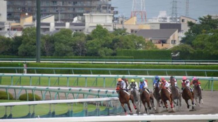 札幌競馬場で開催される主なレース