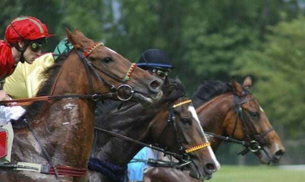 2022年秋競馬のG1日程を紹介!レース結果や登録馬の情報も徹底公開!