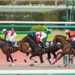 競馬予想TVで回収率を上げよう！番組内容や放送時間、利用するメリットをご紹介！