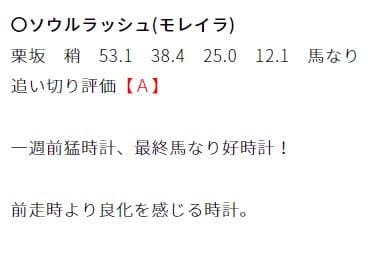 未勝利マニアの競馬予想のソウルラッシュ追い切り評価