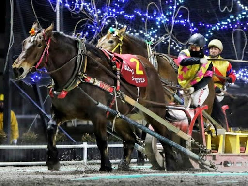 ばんえい競馬