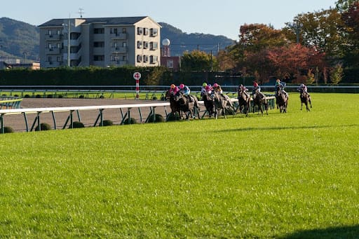 福島競馬場直線コース