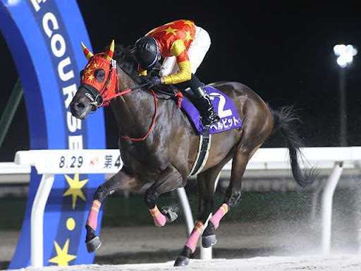 ホッカイドウ競馬