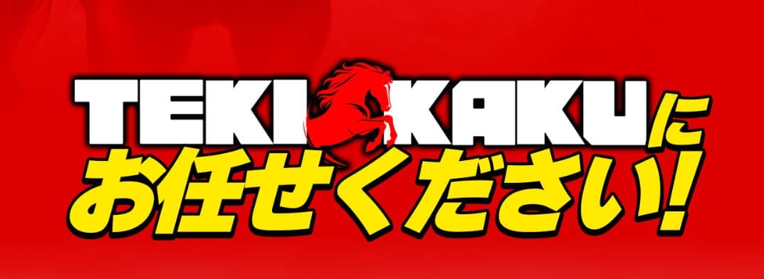 テキカクとは？
