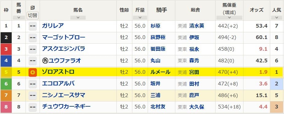 サウジアラビアRC