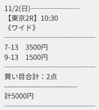 縁 2025年11月02日東京2R 無料予想