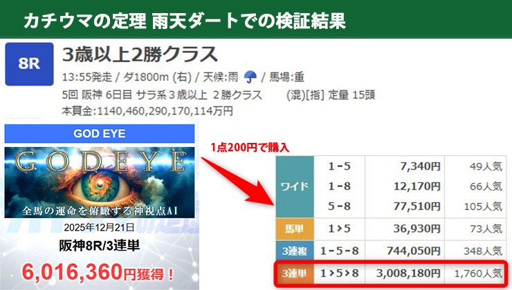 カチウマの定理の雨天ダートの画像