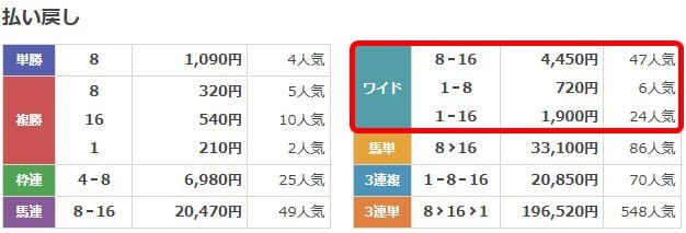 2024年有馬記念ワイドの的中金額