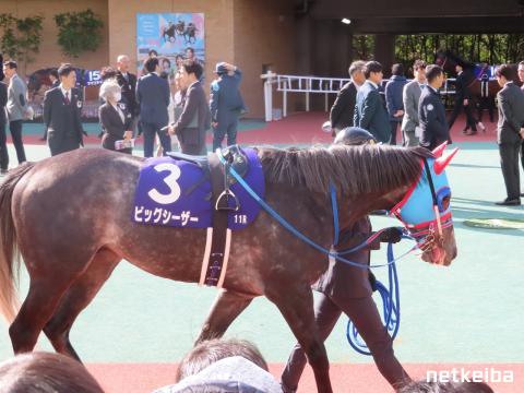 ビッグシーザーの画像