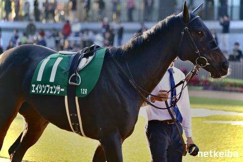 エイシンフェンサーの画像