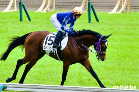 ファウストラーゼンの画像