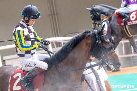 ジョバンニの画像