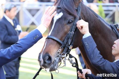 マイネルエンペラーの画像