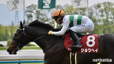 ショウヘイの画像