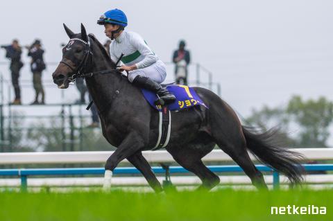 ショウヘイの画像