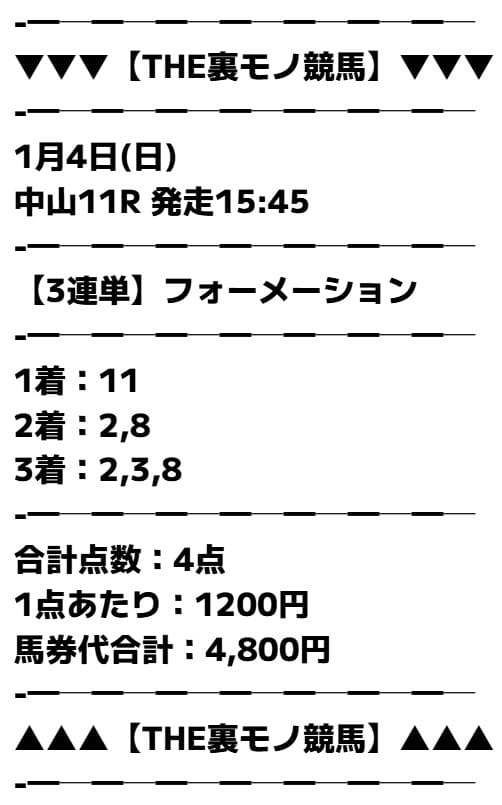 THE裏モノ競馬　有料予想 2026年01月04日 中山11R 有料予想