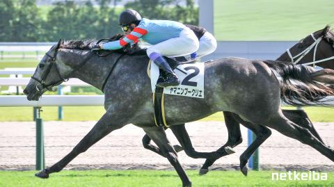 ヤマニンブークリエの画像